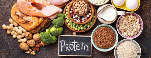 Losos, oříšky, luštěniny a další potraviny obsahující protein.